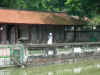 Tempel of Literature Hanoi.JPG (578578 bytes)