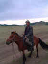 Herder.JPG (130725 bytes)
